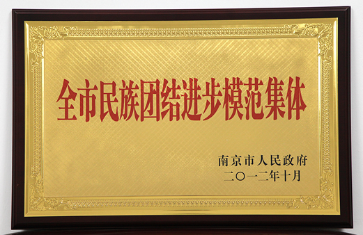 集团荣获“民族团结进步模范集体”称号 集团荣获“民族团结进步模范集体”称号